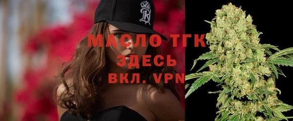 сатива Аркадак