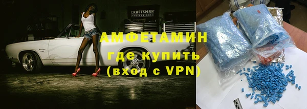 сатива Аркадак