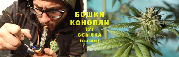 сатива Аркадак
