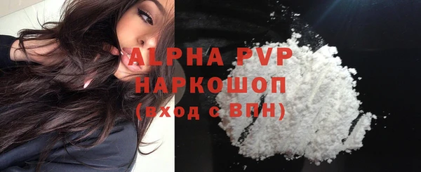 прущие грибы Снежногорск