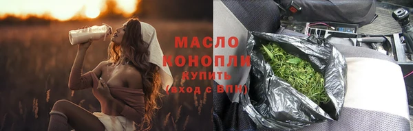 сатива Аркадак