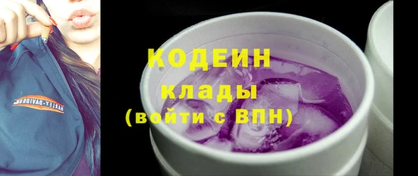 эйфоретик Арсеньев