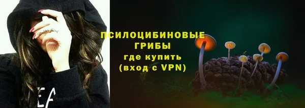 эйфоретик Арсеньев