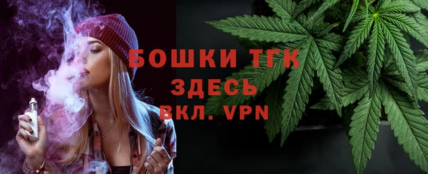 прущие грибы Снежногорск