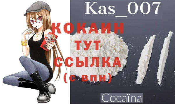 сатива Аркадак